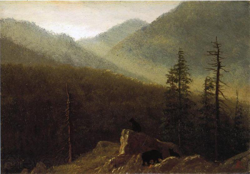 Albert Bierstadt Bears in the Wilderness Norge oil painting art